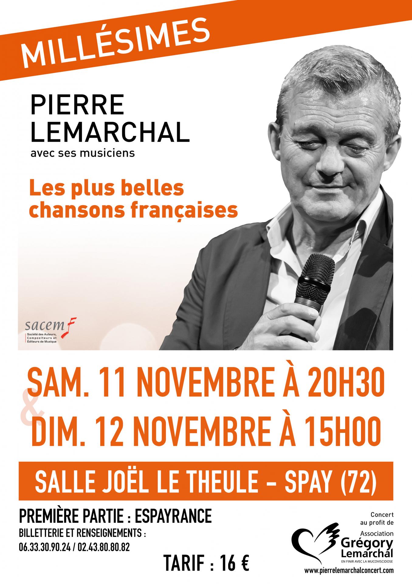 11 11 17 affiche spay